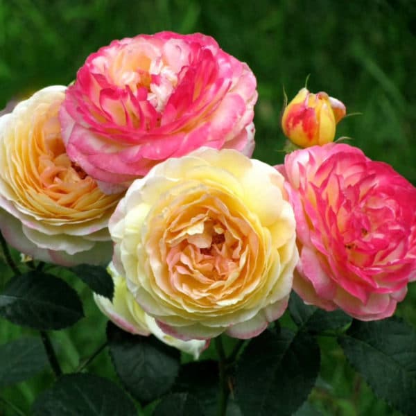Фото 2