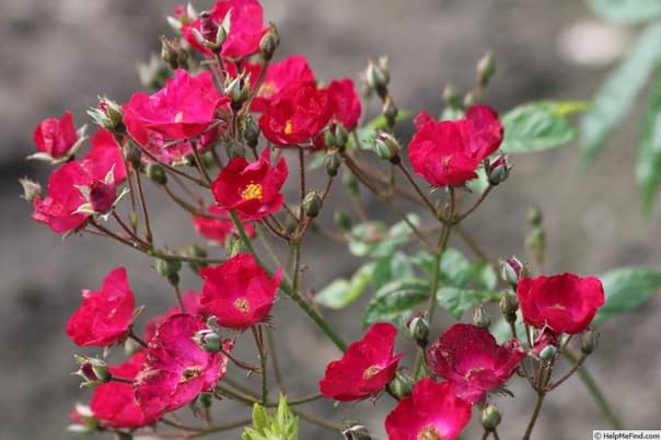 Фото 3