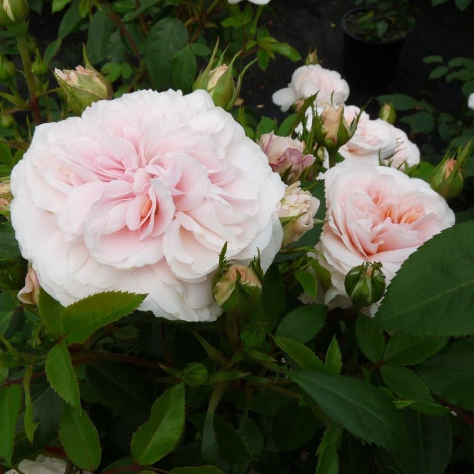 Фото 2