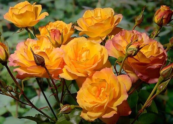 Фото 2