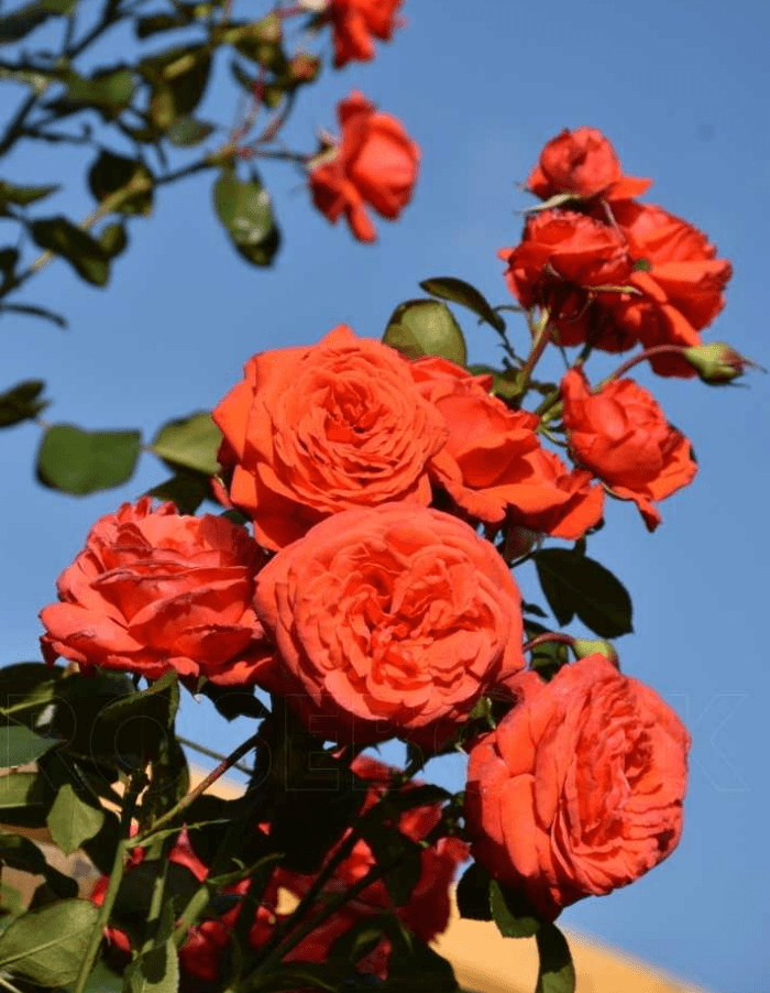 Фото 2