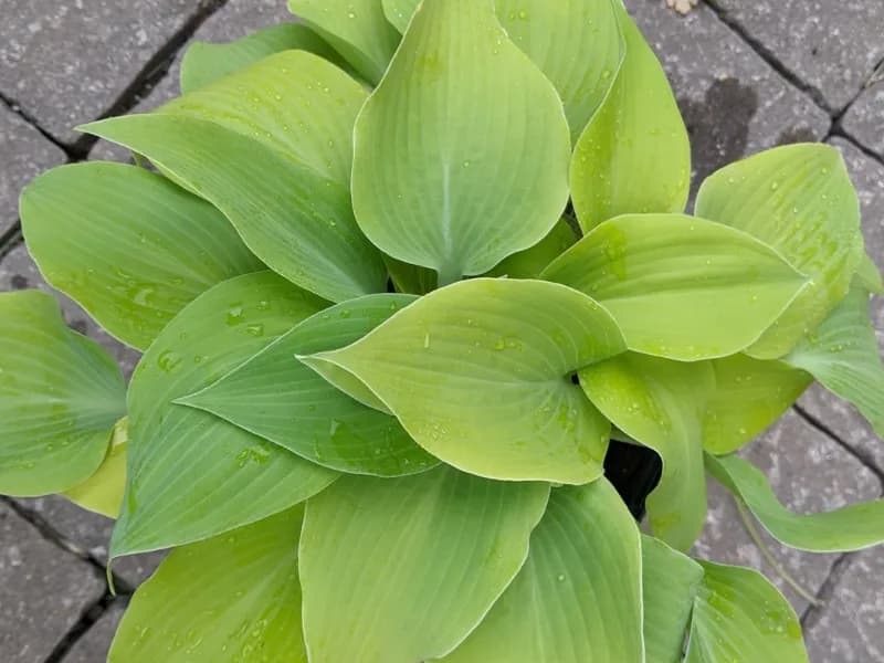Фото 2