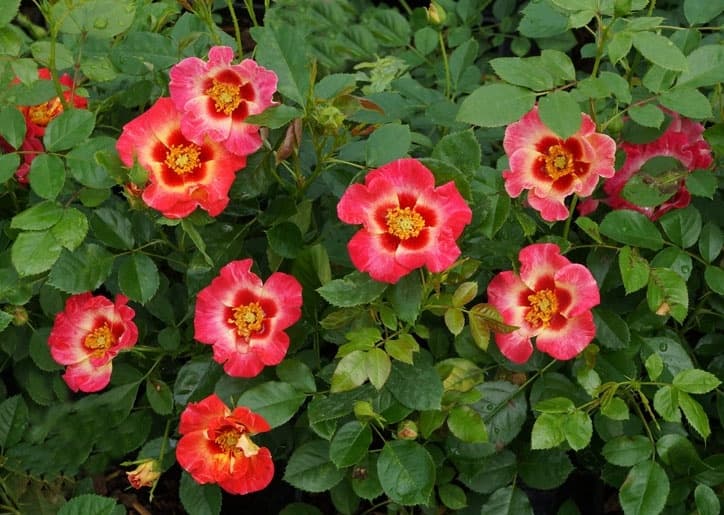 Фото 2