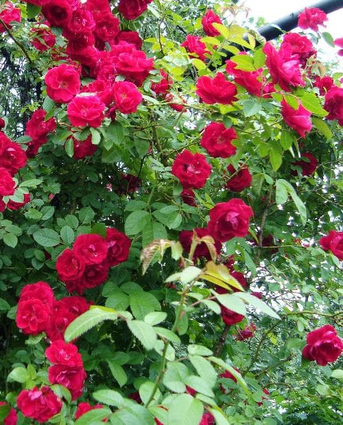 Фото 2