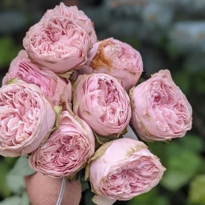 Фото 2