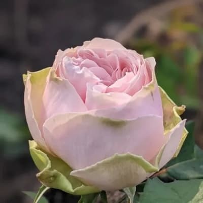 Фото 3