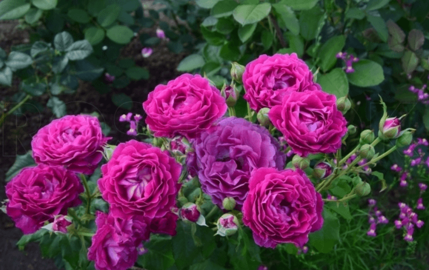 Фото 2