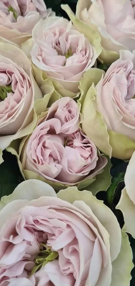 Фото 2