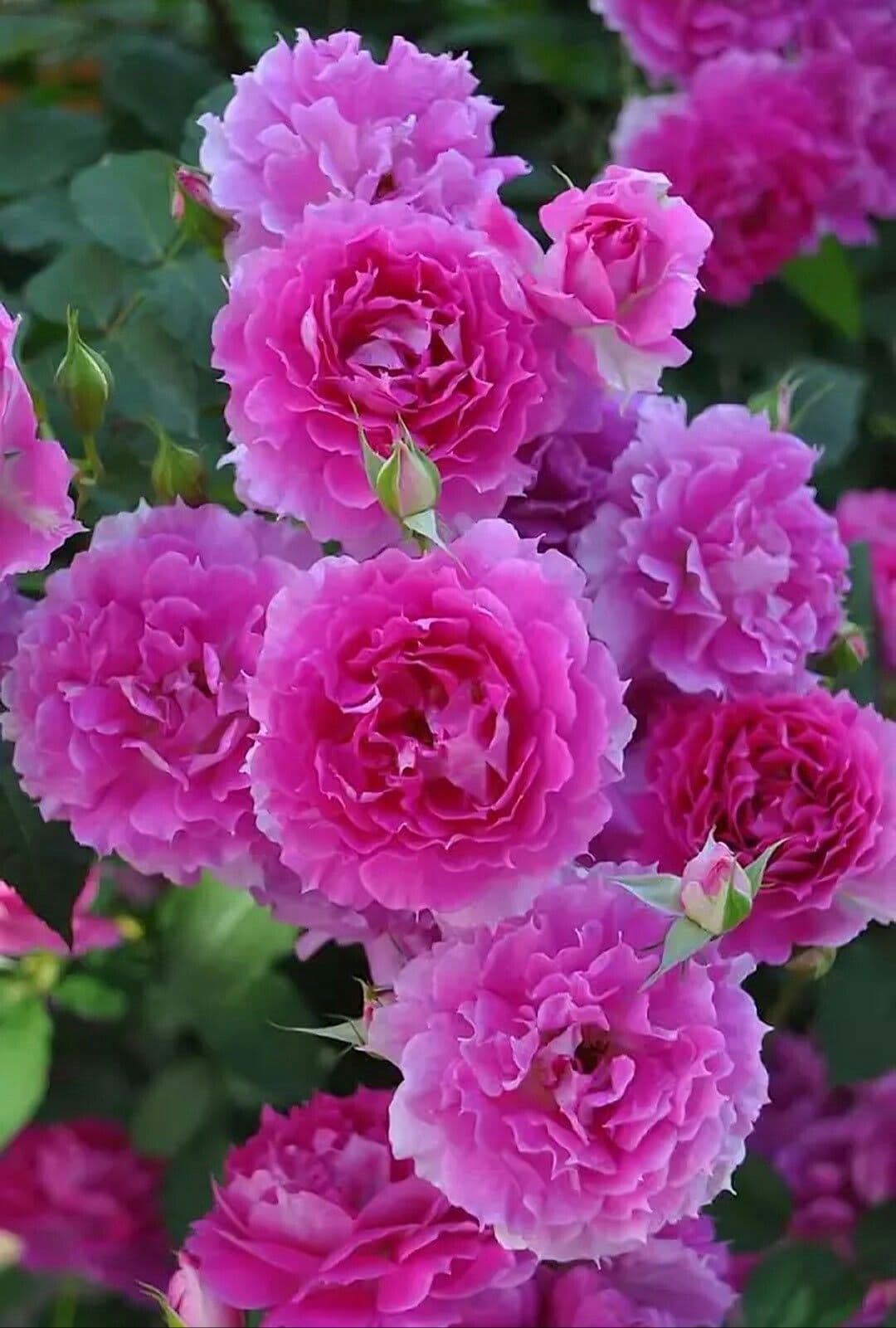 Фото 4