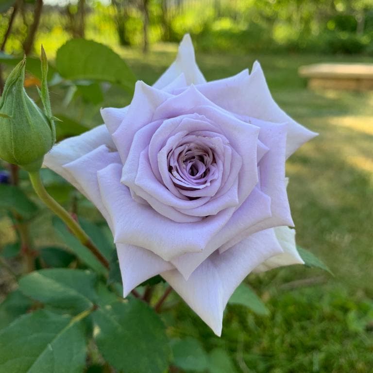 Фото 4