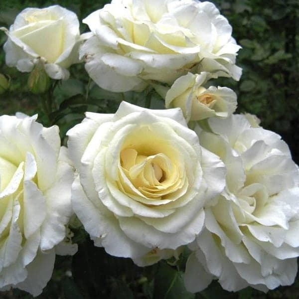 Фото 2