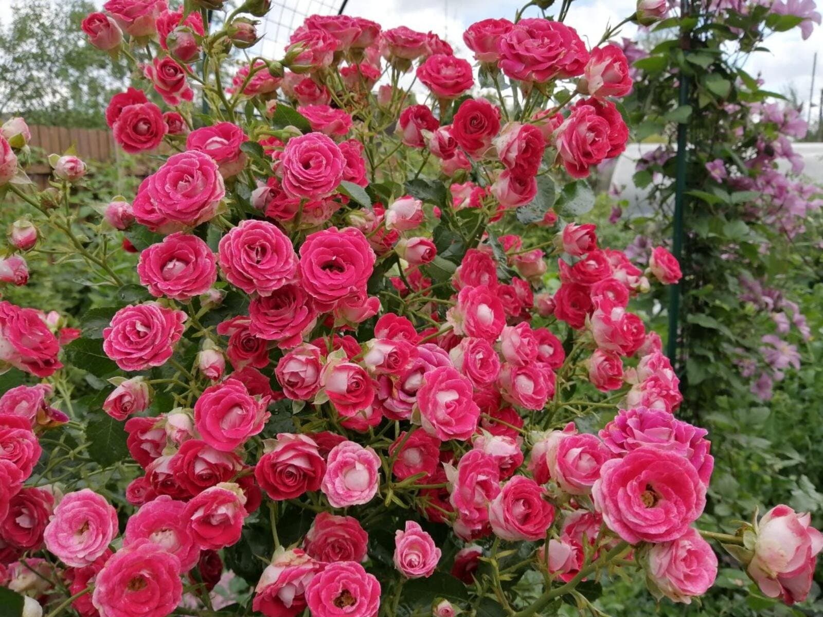 Фото 2