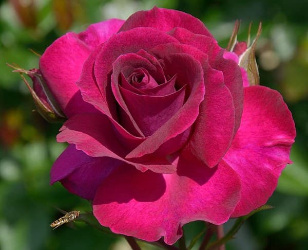 Фото 2