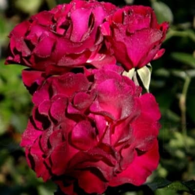 Фото 5