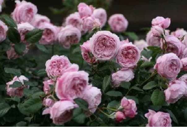 Фото 3