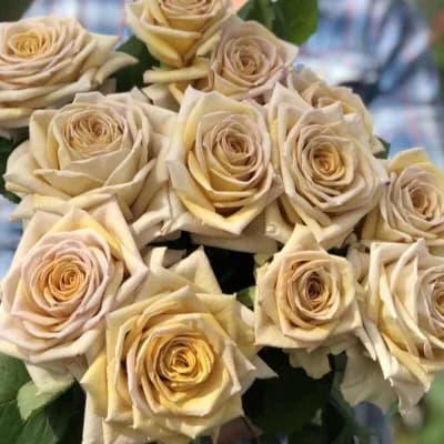 Фото 3