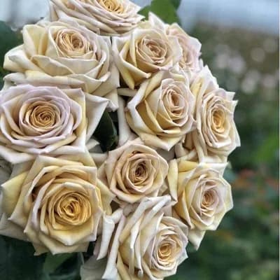 Фото 4