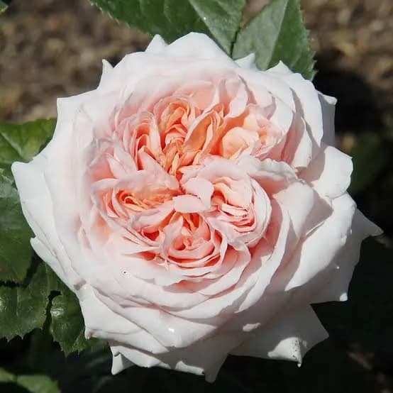 Фото 2