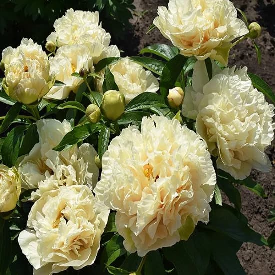 Фото 2