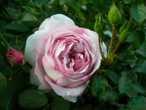 Фото 3
