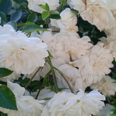 Фото 2