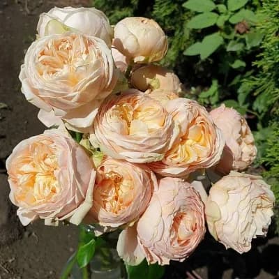 Фото 2