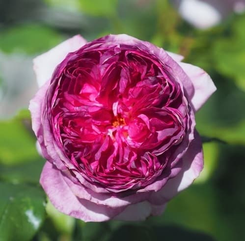 Фото 3