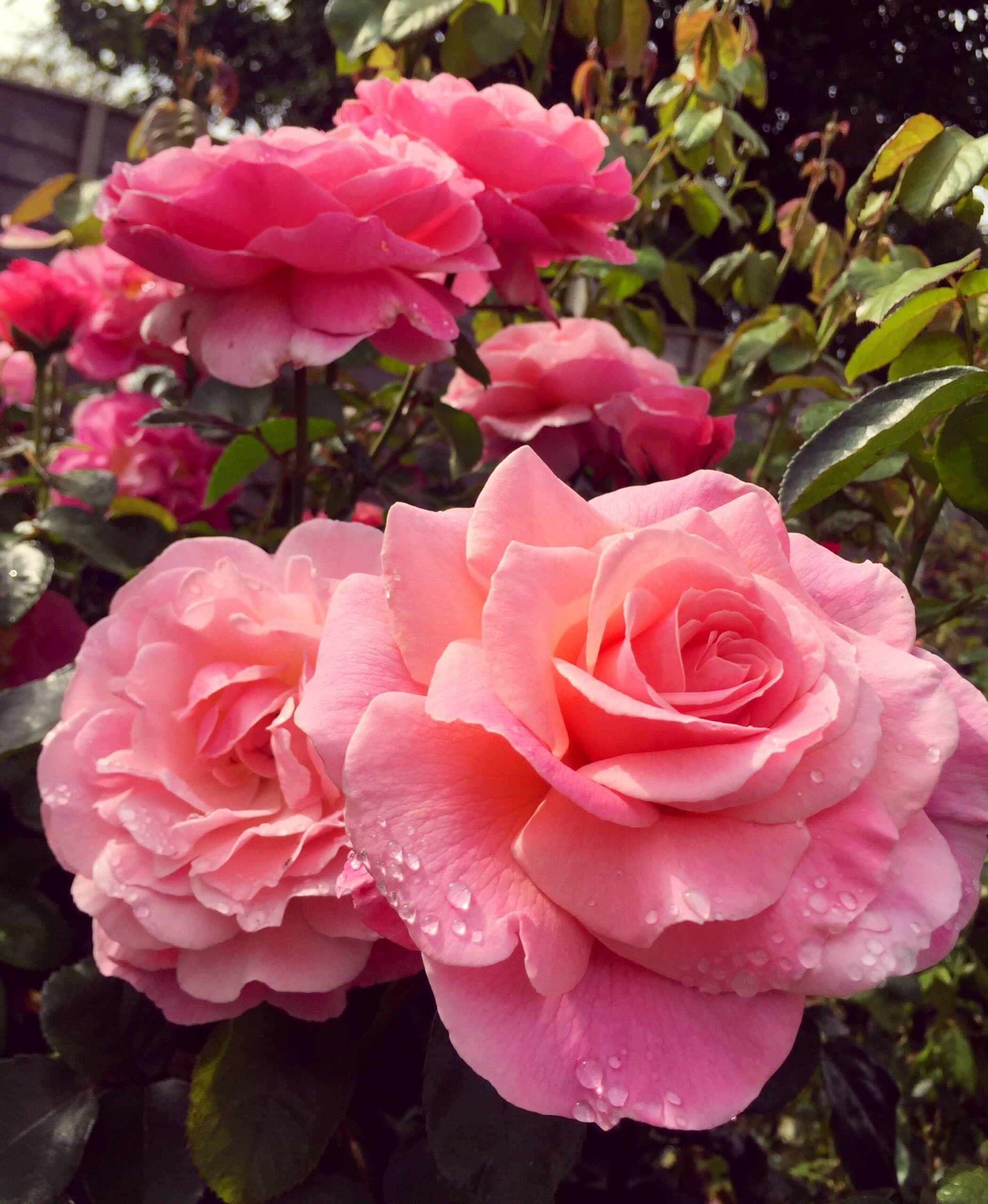 Фото 3
