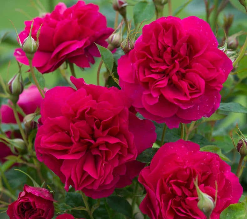 Фото 2