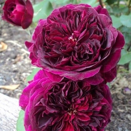 Фото 2