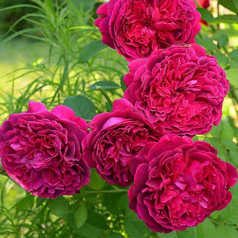 Фото 2