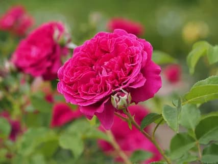 Фото 3