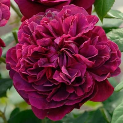 Фото 4