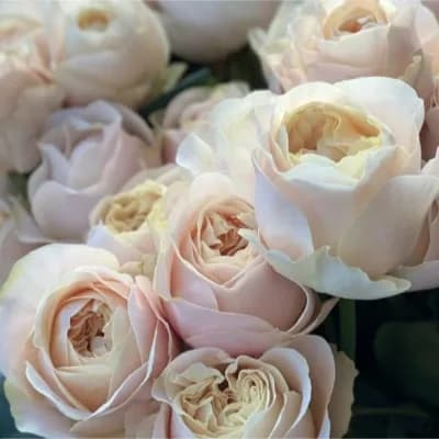 Унфоргетабле (Unforgettable) 
