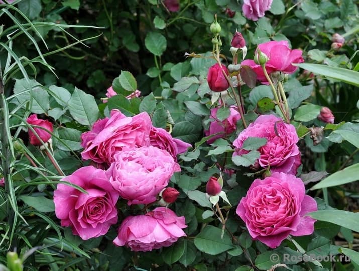 Фото 2
