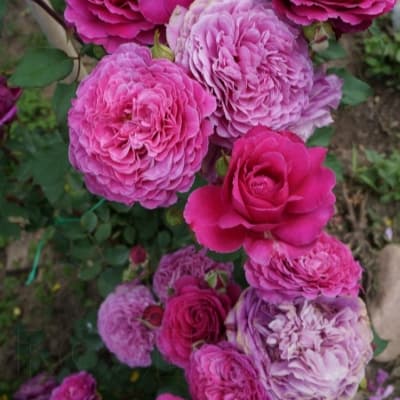 Фото 4
