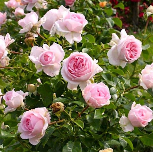 Фото 2