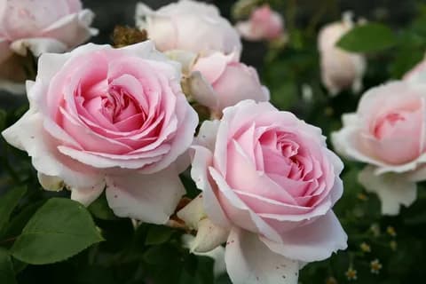 Фото 3