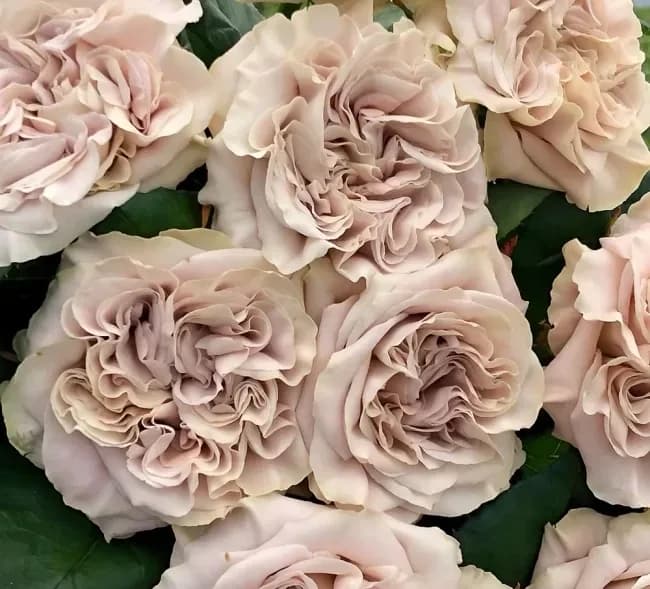 Фото 2