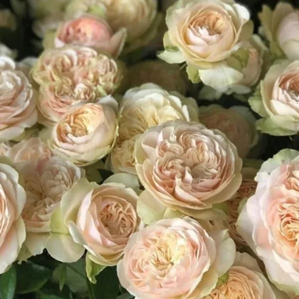 Фото 2
