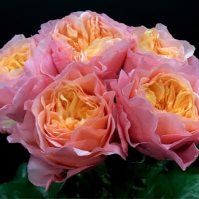Фото 2