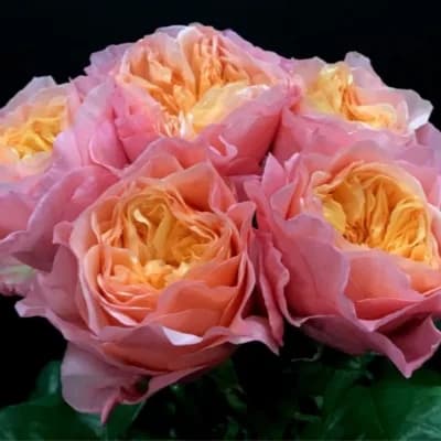 Фото 2