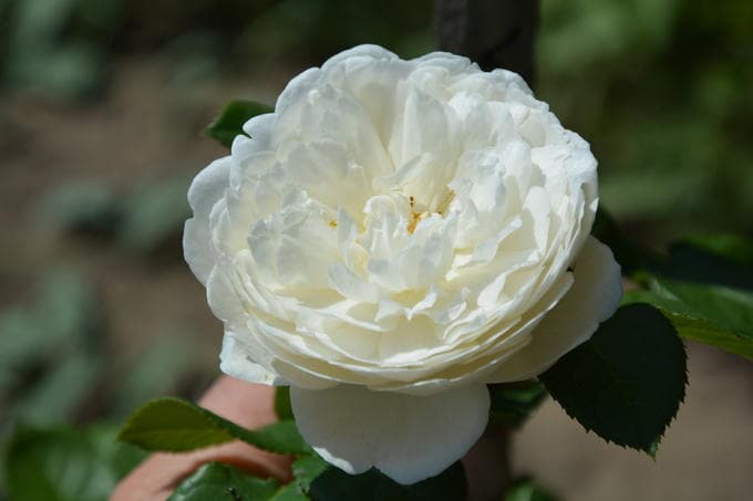 Фото 2