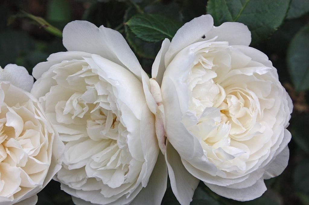 Фото 3