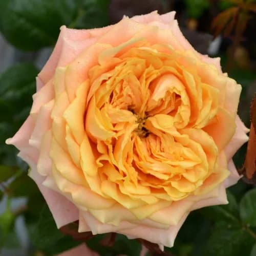 Фото 2