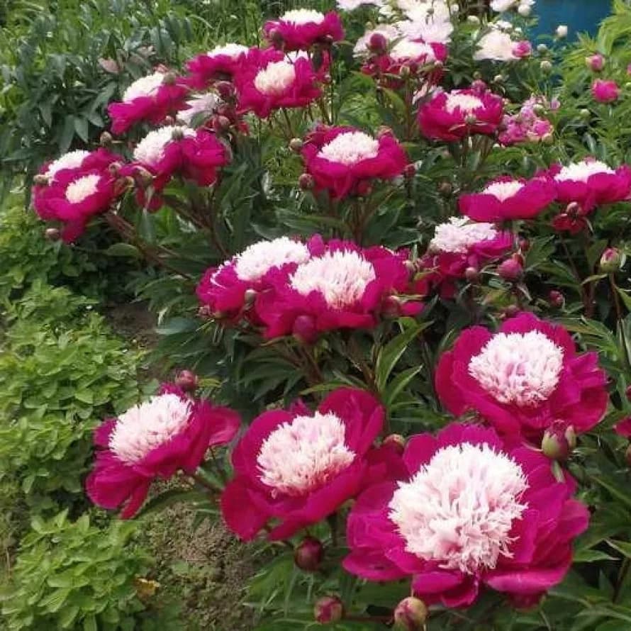 Фото 2