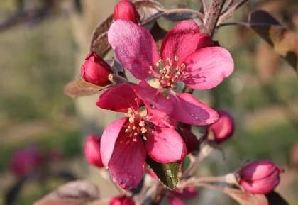 Фото 2