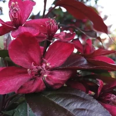 Фото 2