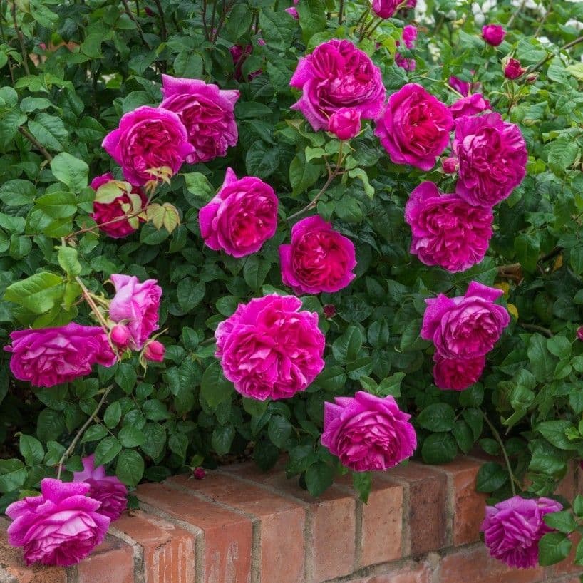 Фото 2