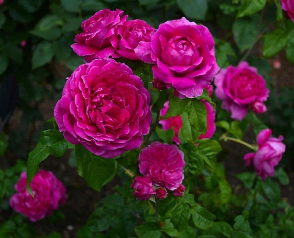 Фото 3